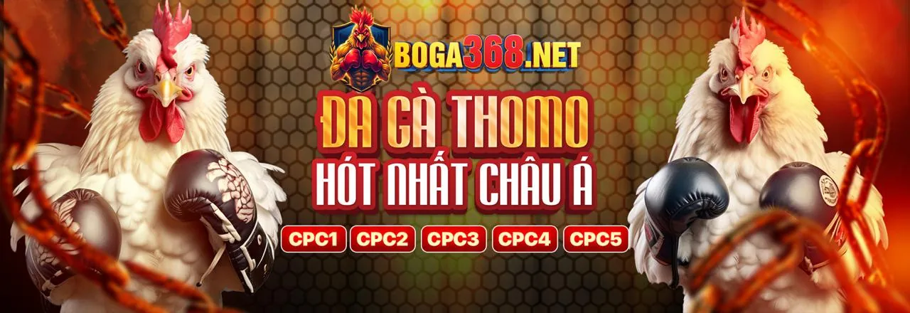 Hình ảnh đại diện chính sách quyền riêng tư của FB88 Thể Thao