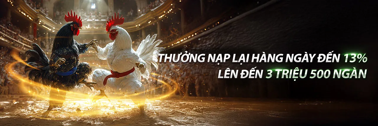 Tin tức fb88 thể thao